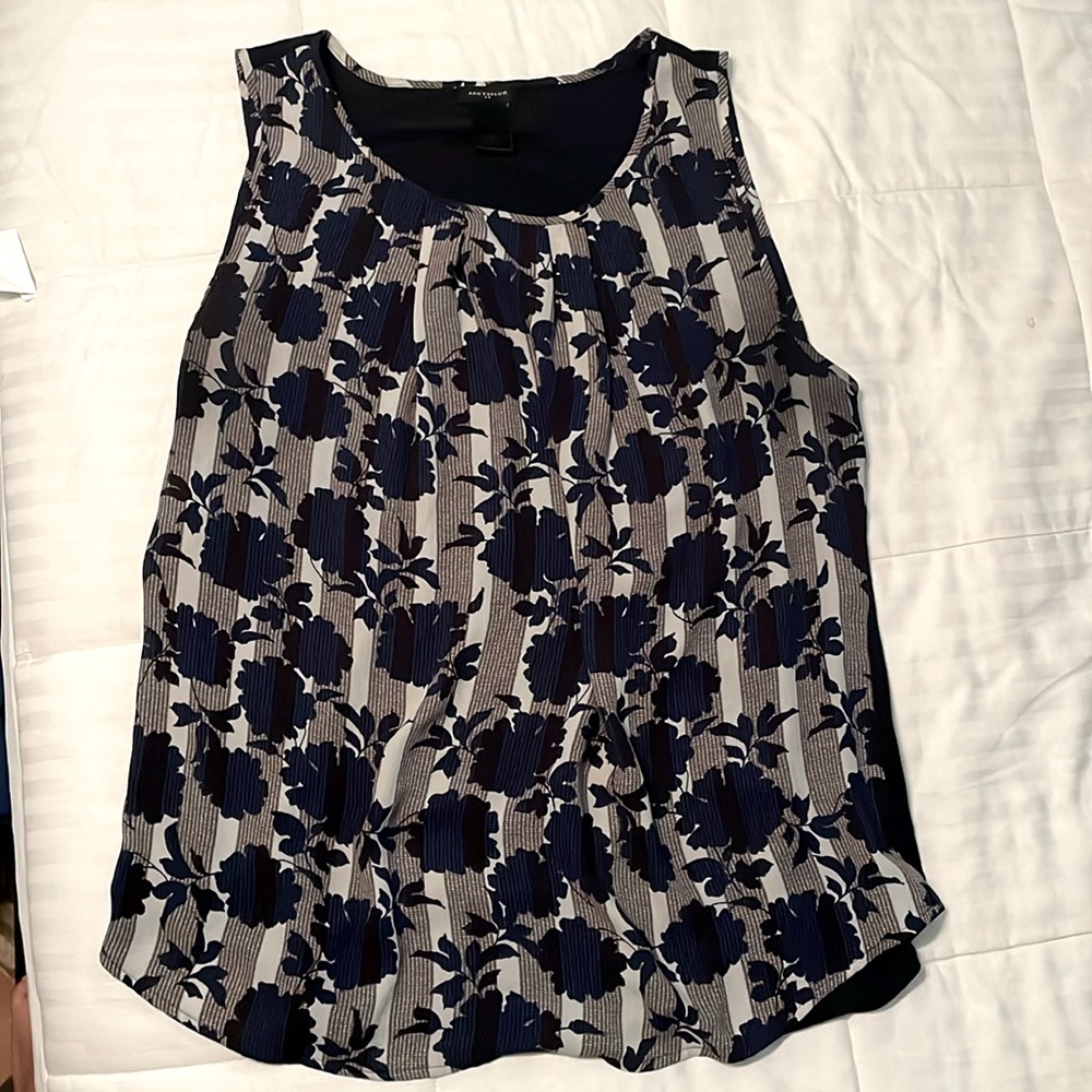 Ann Taylor Blouse (size L)